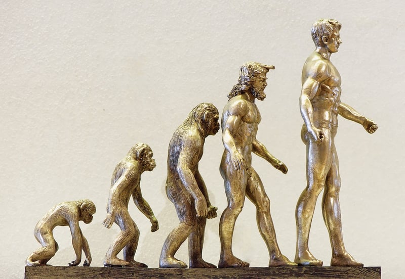 AI Evolution